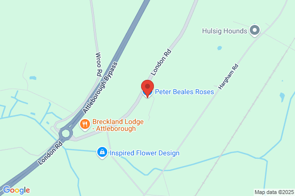 Peter Beales (Roses) Ltd