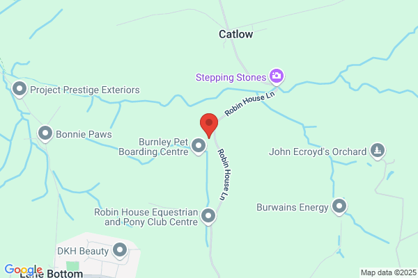 Dr Flue Chimney Sweeps