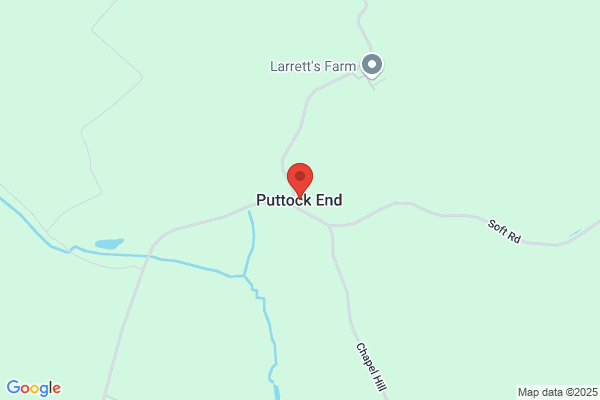Puttock