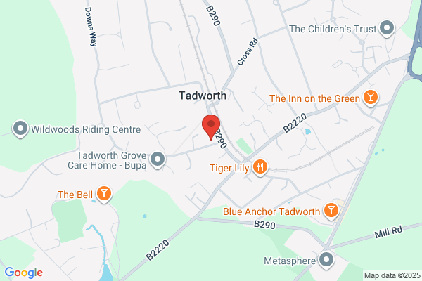 Mid-Surrey Advocacy Group