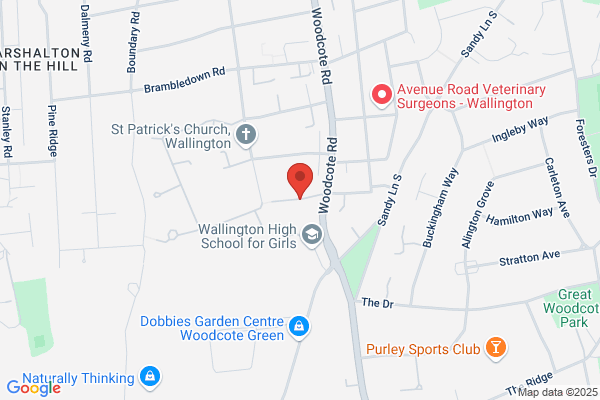 The Podiatry & Foot Care Clinic