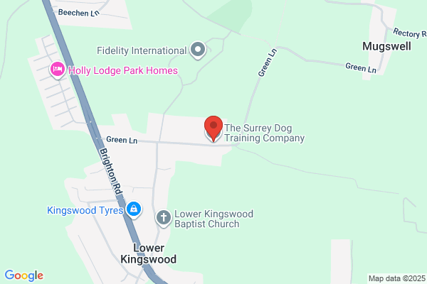 Caterham, Chipstead & Coulsdon Dog Training Club