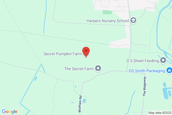 The Pumpkin Patch
