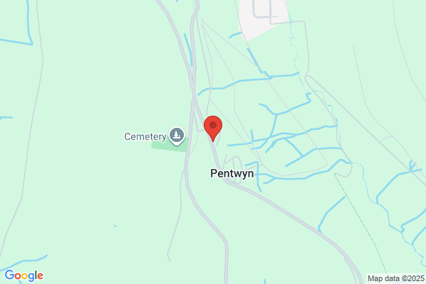 Ffynonau Duon Mines Ltd