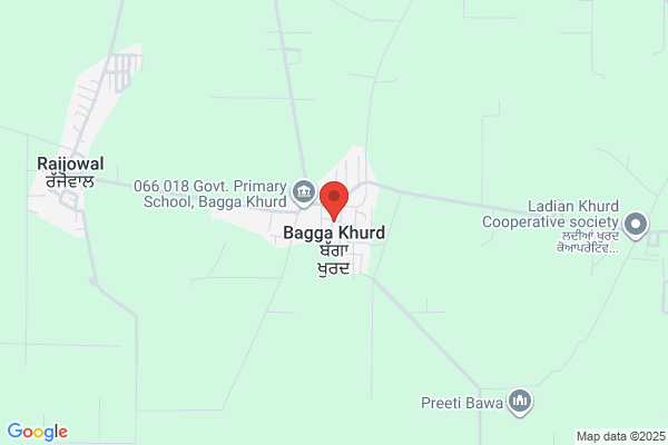 S K Bagga
