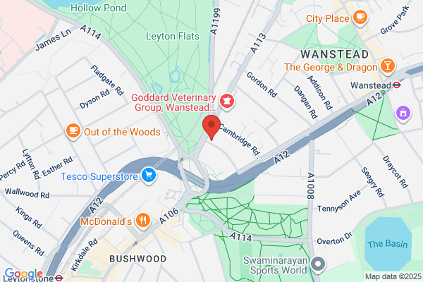 Wanstead Garage
