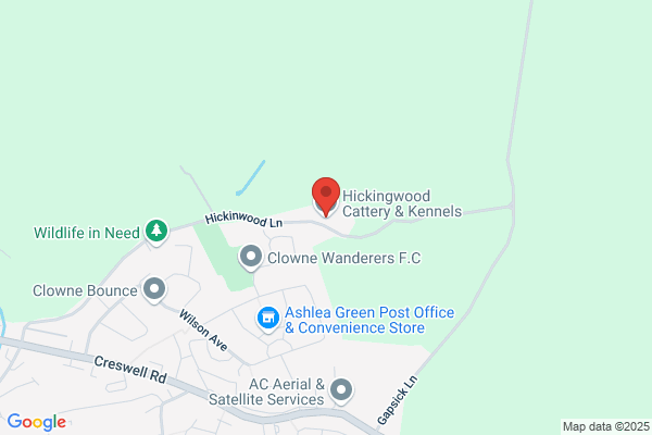 Hickingwood Kennels & Cattery