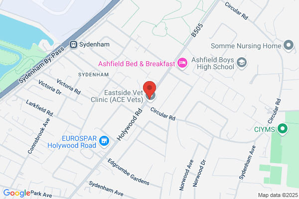 Barbera Electrical Services Ltd