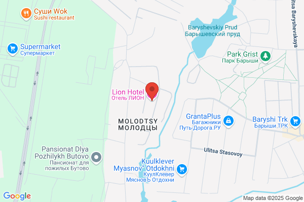 Lion Hotel