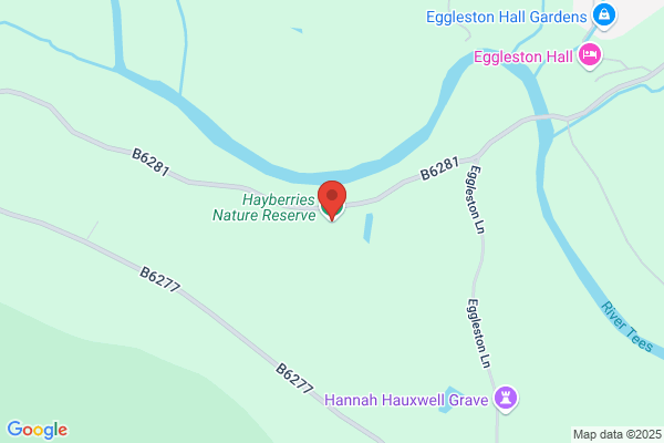 English Nature