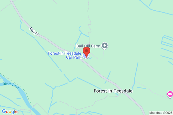 Forest-Of-Teesdale Primary School
