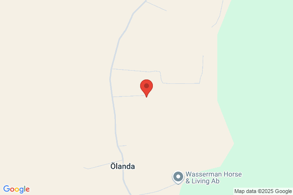 Viking Videos
