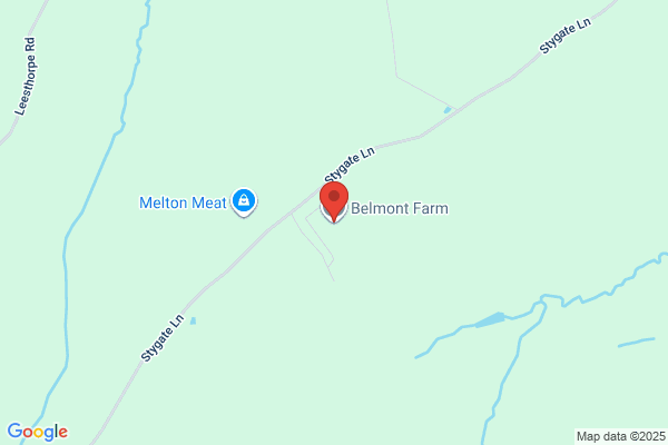 Belmont Seed