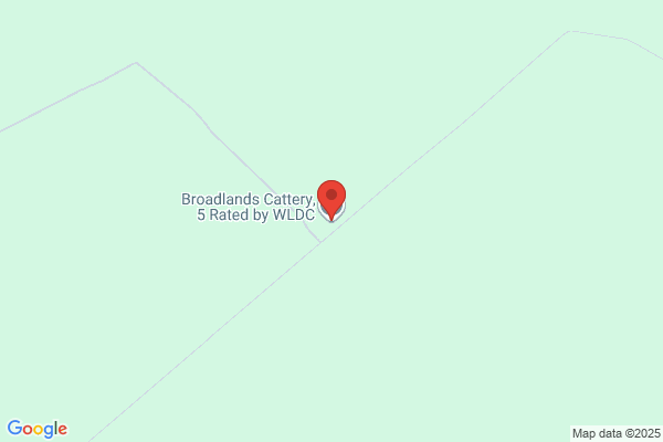 Broadlands Cattery