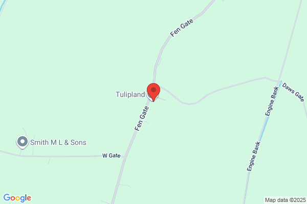 Tulip Ltd