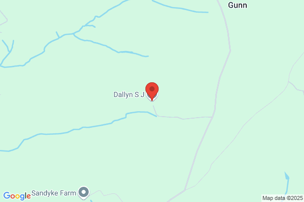 S J Dallyn