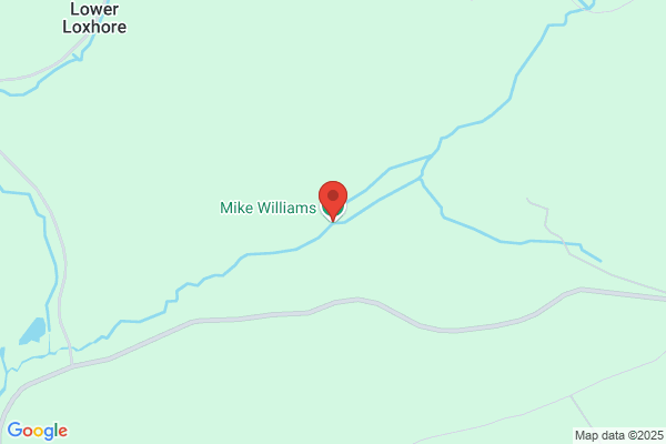 Mike Williams