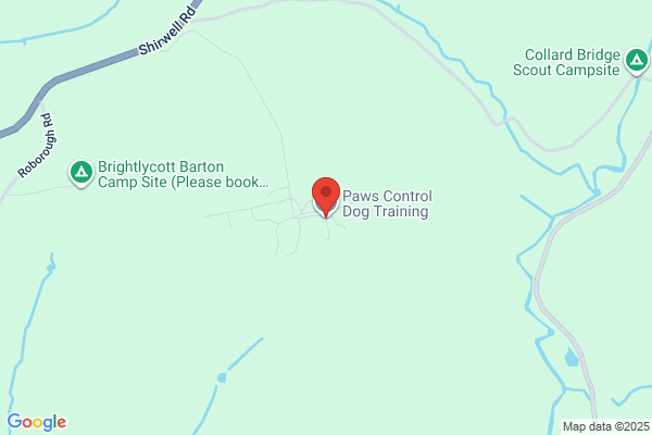 Paws Control Dog Training