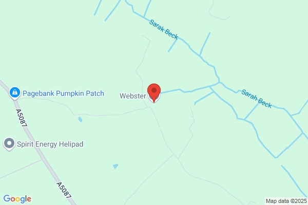 Webster