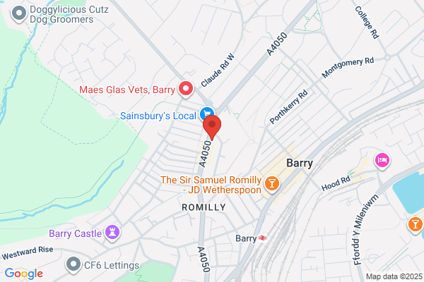 Porthceri Surgery