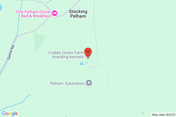 Green Farm Boarding Kennels