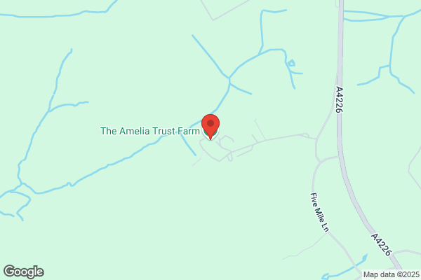 Amelia Trust Pottery