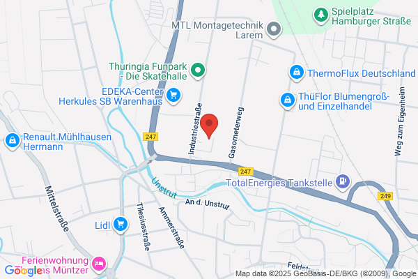 Pavers Shoes