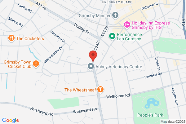 Voluntary Action (North Lincolnshire)