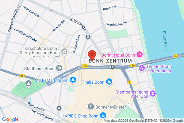 Beez Neez