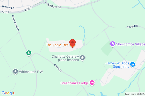The Apple Tree