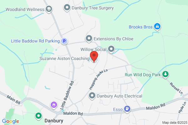 Sue Abbotson Ltd