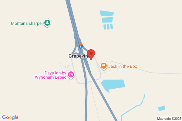 The Grapevine