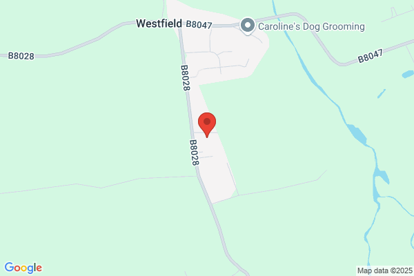 Westfield Primary School
