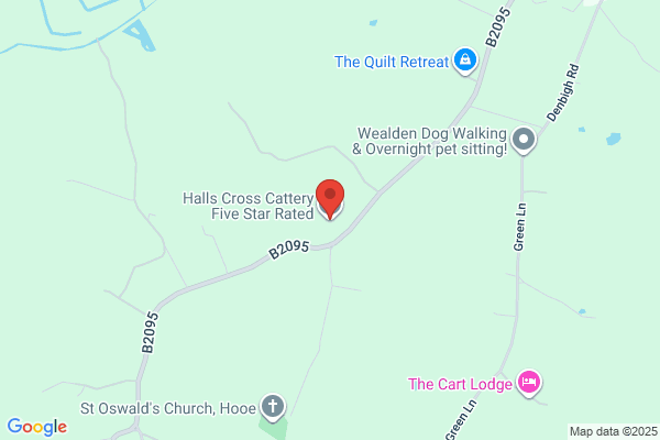 Halls Cross Cattery