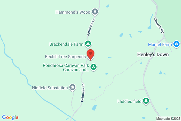 Battle Tree Surgeons