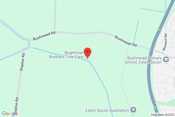 Brightman R P