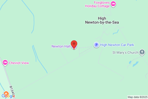 Newton's