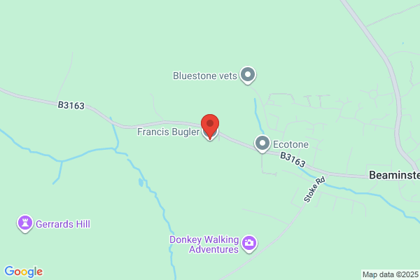 Francis Bugler Ltd