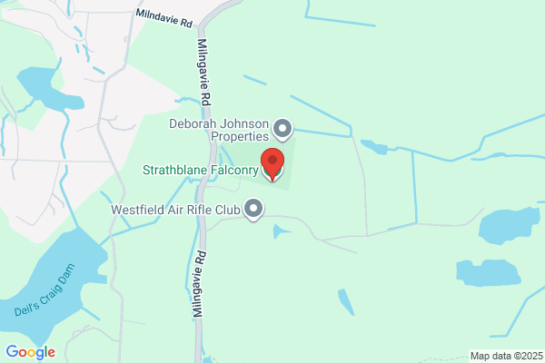 Strathblane Falconry