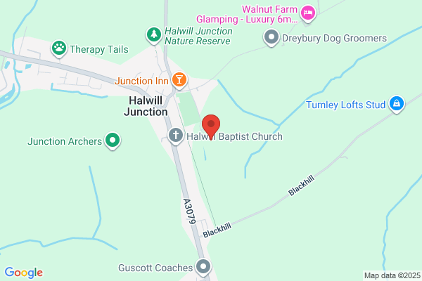 Halwill Primary School