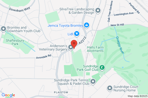 Sundridge Park Working Mens Club & Institute
