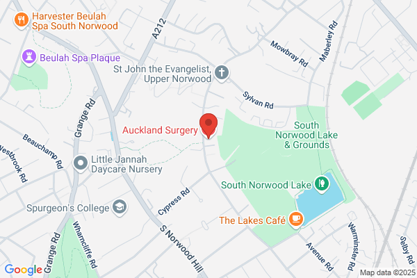 Auckland Surgery