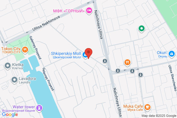 Total Body Fitness