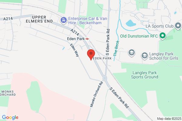 London Tree Stump Removal Company