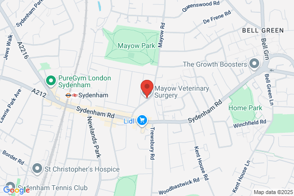 Mayow Road Veterinary Surgery