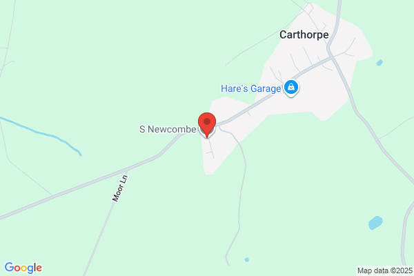 S Newcombe