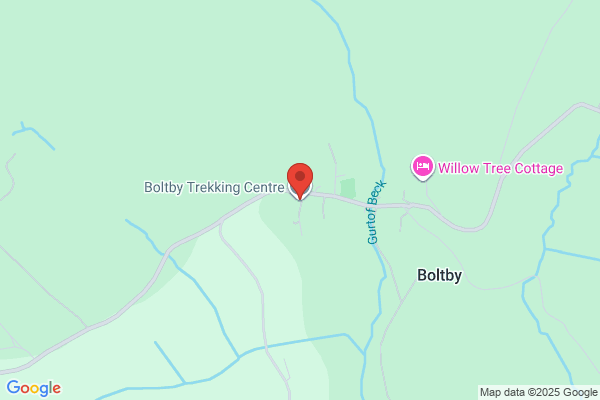 Carthorpe Pony Trekking