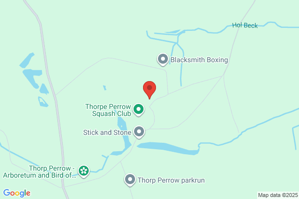 The Falcons Of Thorp Perrow