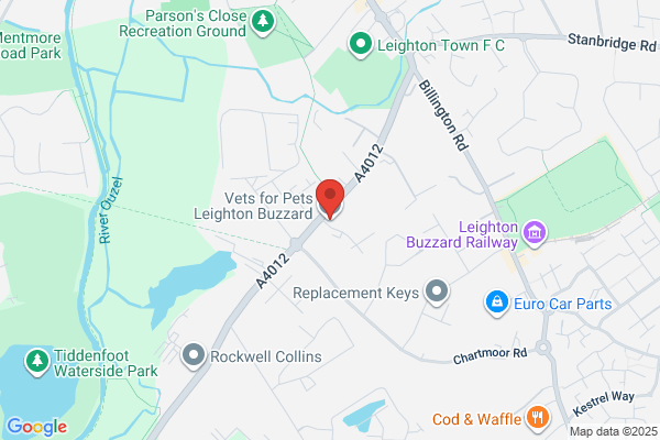Companion Care Vets - Leighton Buzzard