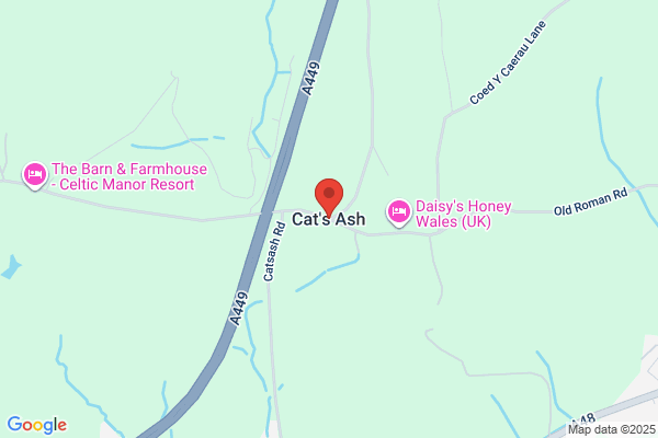 Cats